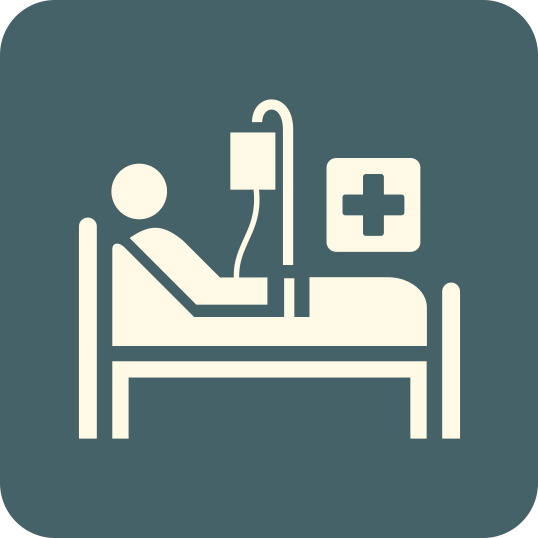 Physical Assets Icon